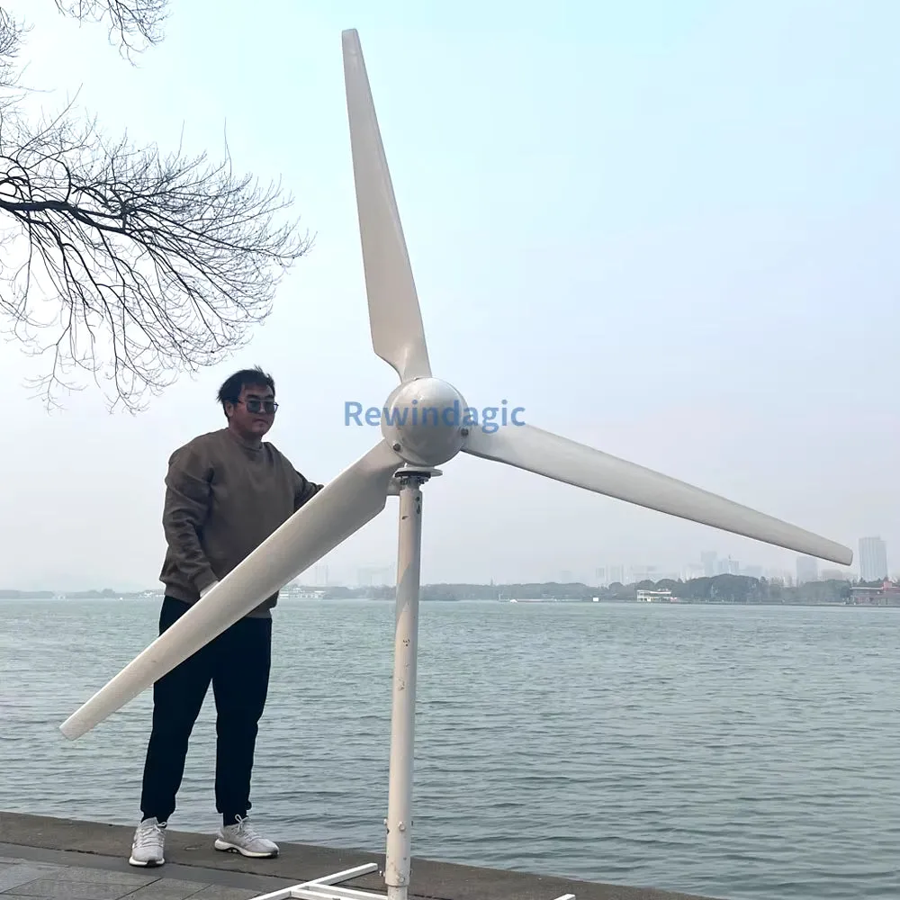 10KW 20KW Wind Turbine 96V 220V 380V Permanent Magnet Generator MPPT Charge Windmill 3 Blades with on Grid System for Home Use