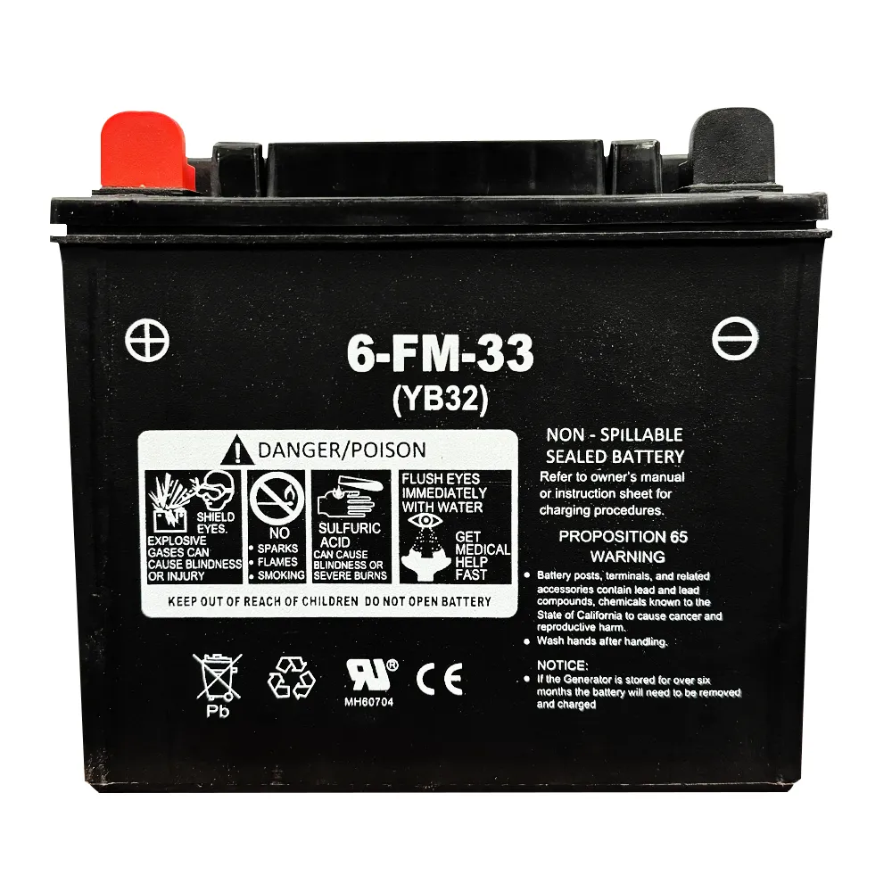 DuroMax Power Portable Generator Replacement Battery - 12V 32aH