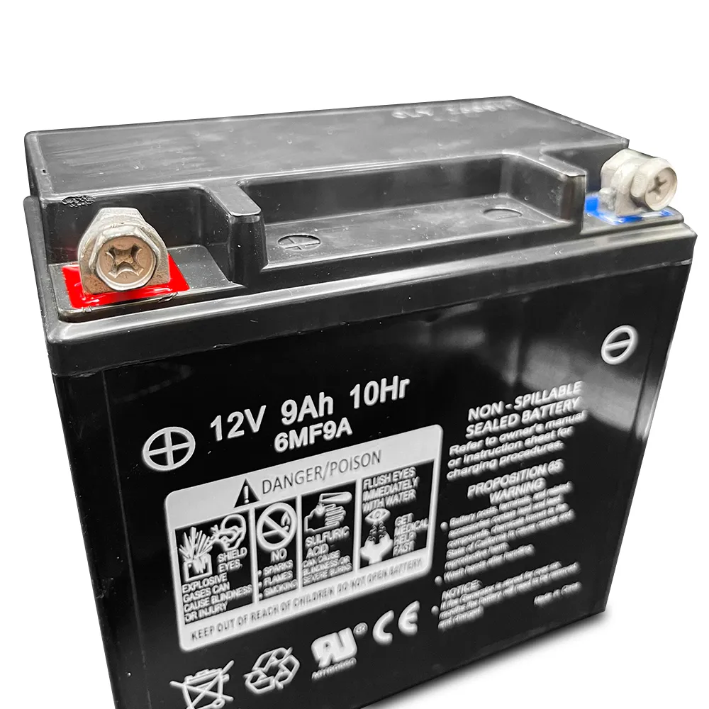 DuroMax Power Portable Generator Replacement Battery - 12V 9aH
