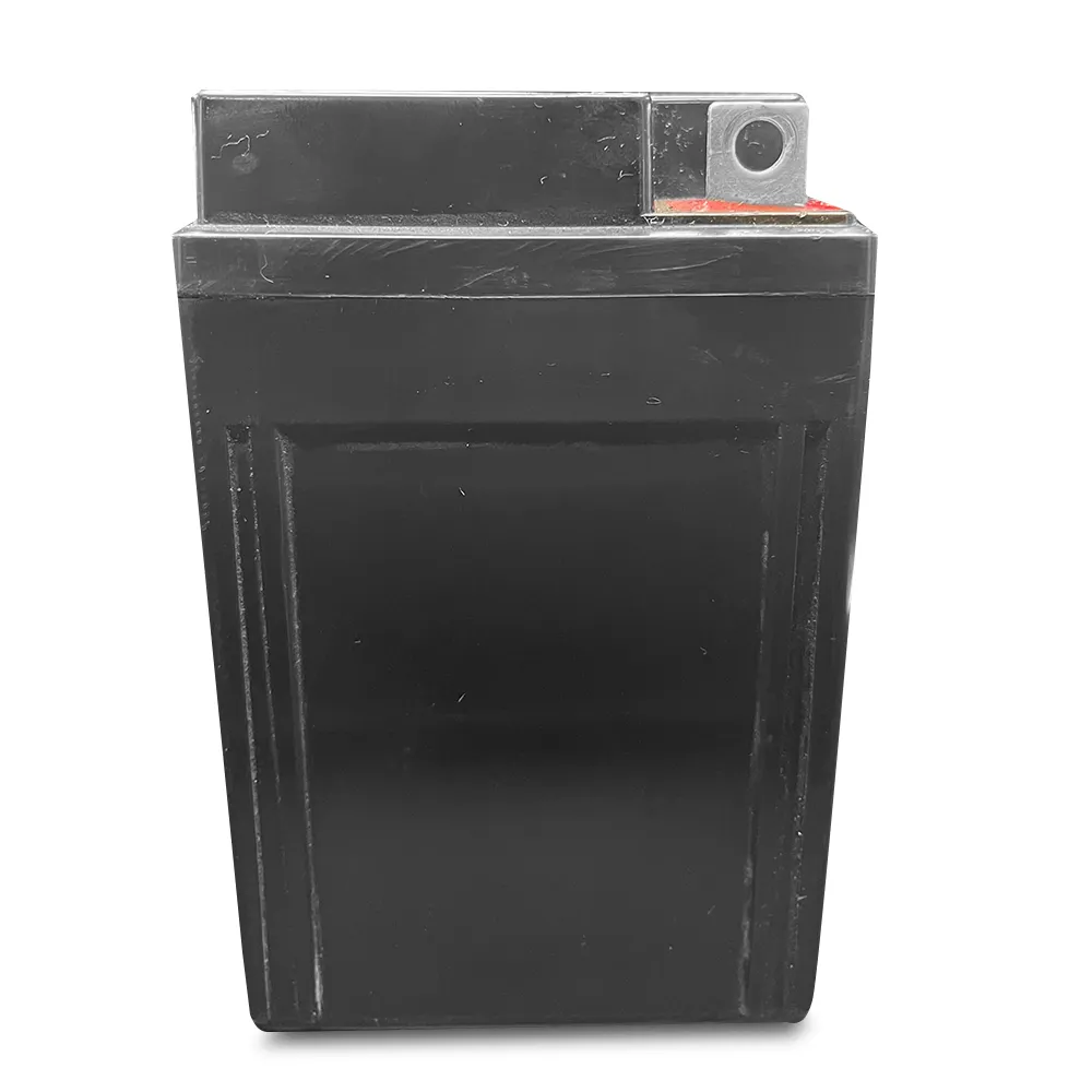 DuroMax Power Portable Generator Replacement Battery - 12V