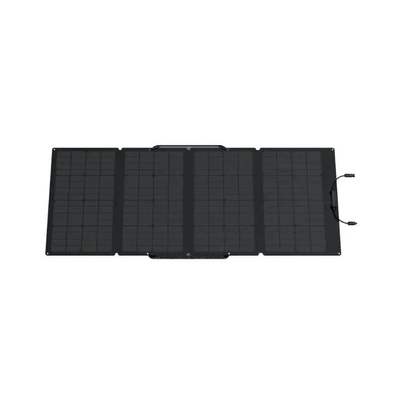EcoFlow DELTA Max 2000   2 x 160W Solar Panels
