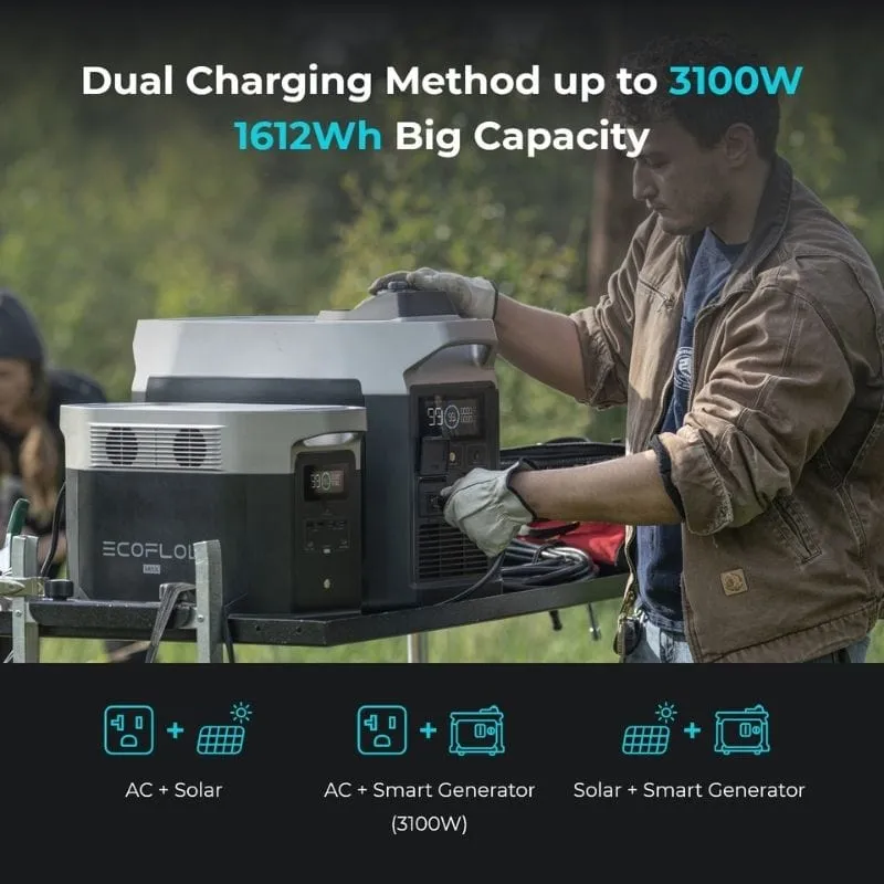 EcoFlow DELTA Max 2000   2 x 160W Solar Panels