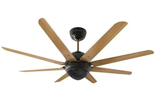 Havells Octet Under Light 1320 mm Ceiling Fan - 1 PC