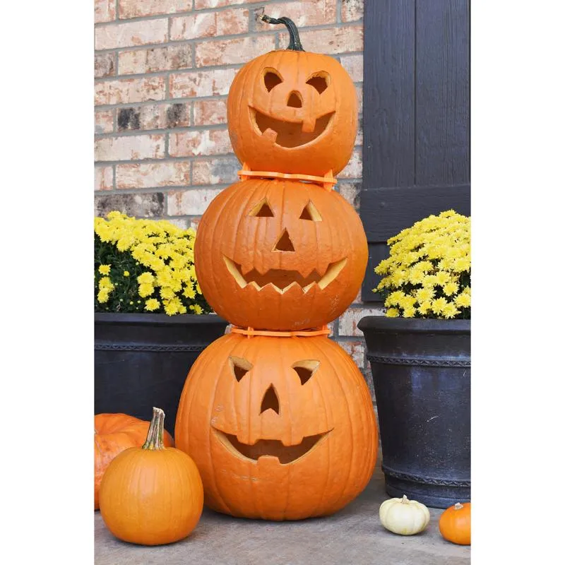 Hey Buddy Hey Pal Stack-O-Lantern Pumpkin Accessory 1 pk