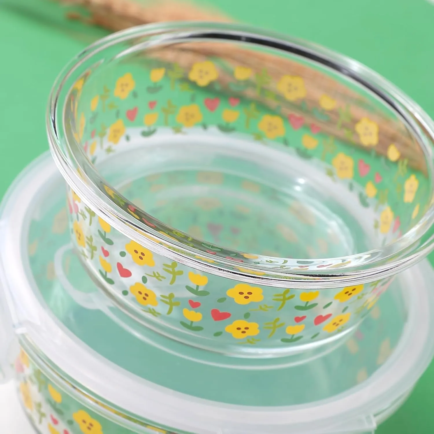 Homestic Borosilicate Printed Container With Lid (Round) | JDA050-MUL | Transparent | Pack Of 2