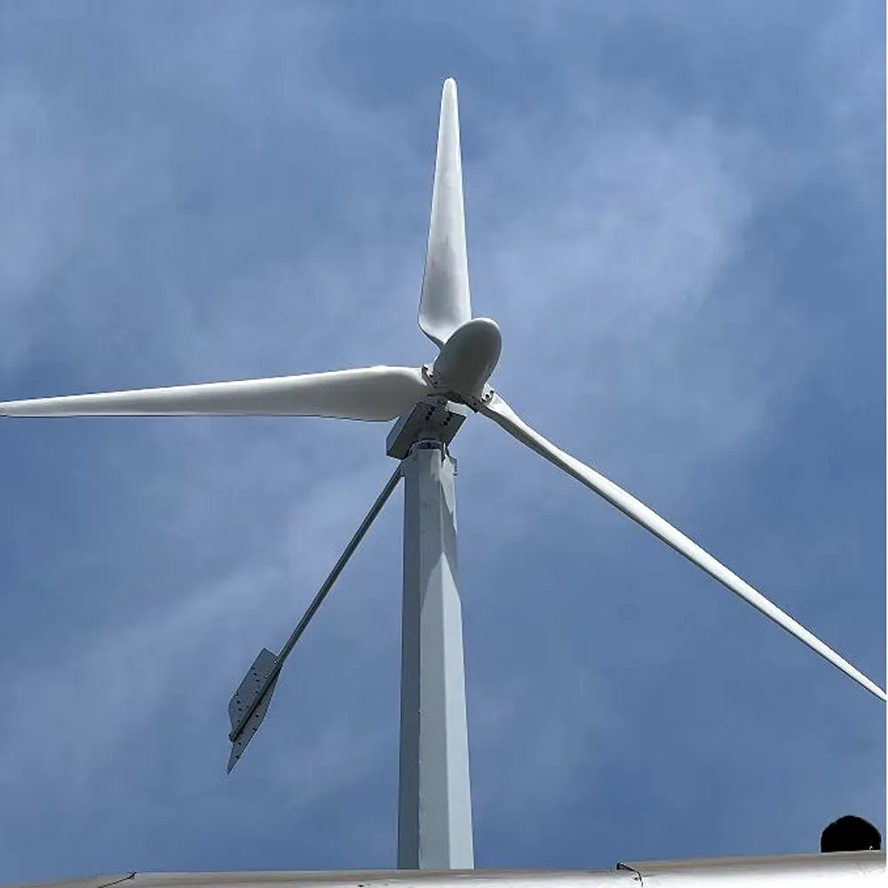 New Energy 30000W 48V-220V Small Windmill 3 Blades Horizontal Wind Turbine Generator Free MPPT Controller for Homeuse for You
