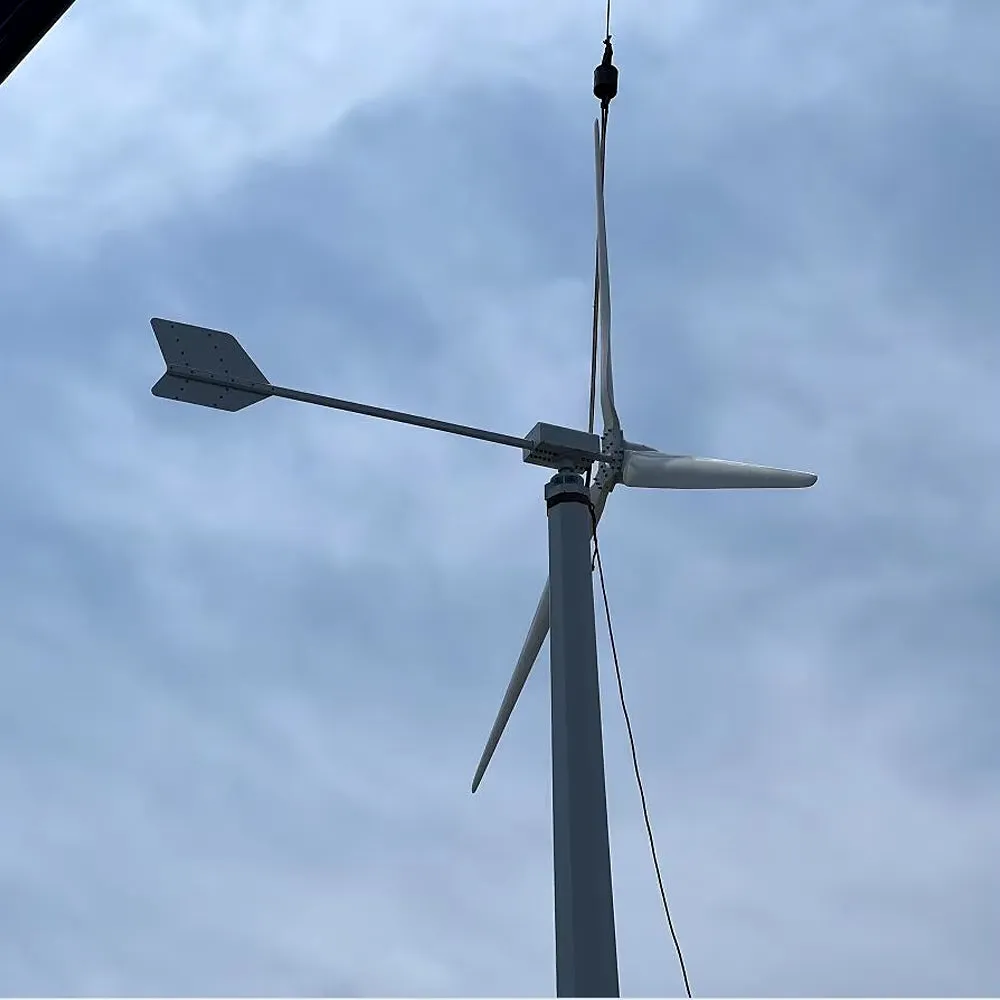 New Energy 30000W 48V-220V Small Windmill 3 Blades Horizontal Wind Turbine Generator Free MPPT Controller for Homeuse for You