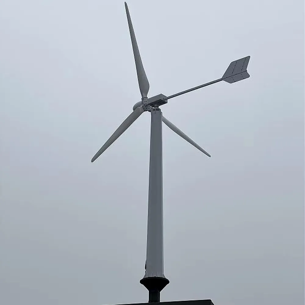 New Energy 30000W 48V-220V Small Windmill 3 Blades Horizontal Wind Turbine Generator Free MPPT Controller for Homeuse for You